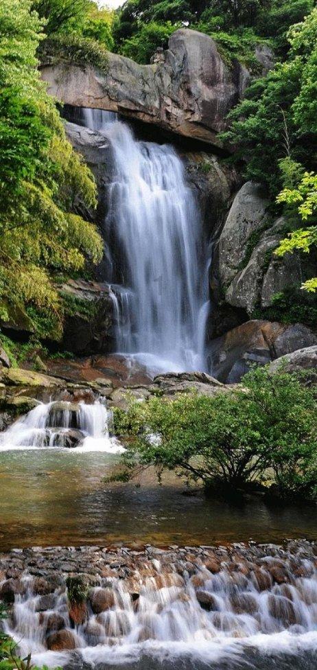 1月27日河南郑州两所高校餐厅档口调整